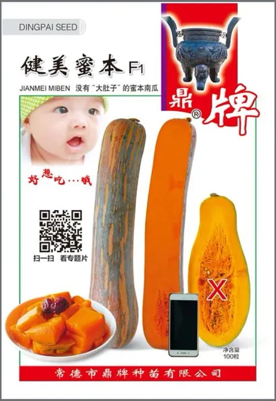 3元1斤的健美蜜本南瓜快成熟了，緬甸種植戶發(fā)來圖片與視頻